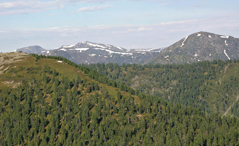 Вид с серпантина под пиком Черского на вершины Босан и Рассоха