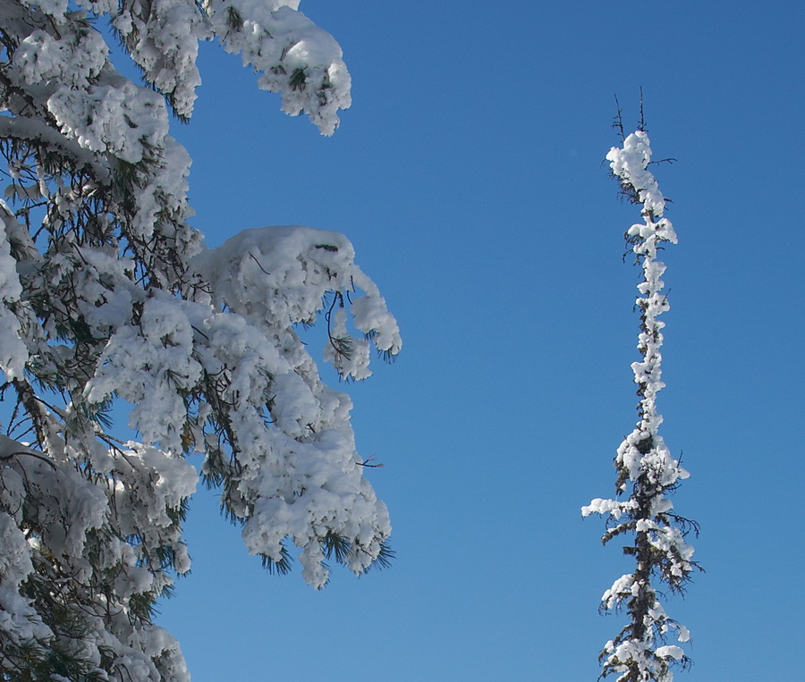 �������� �������� �����