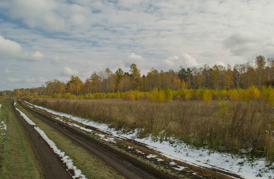 � ������ �������