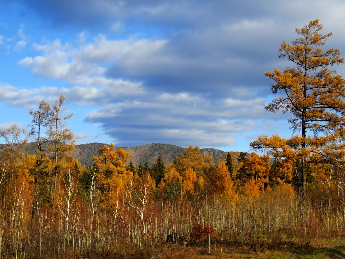 ���������� ������