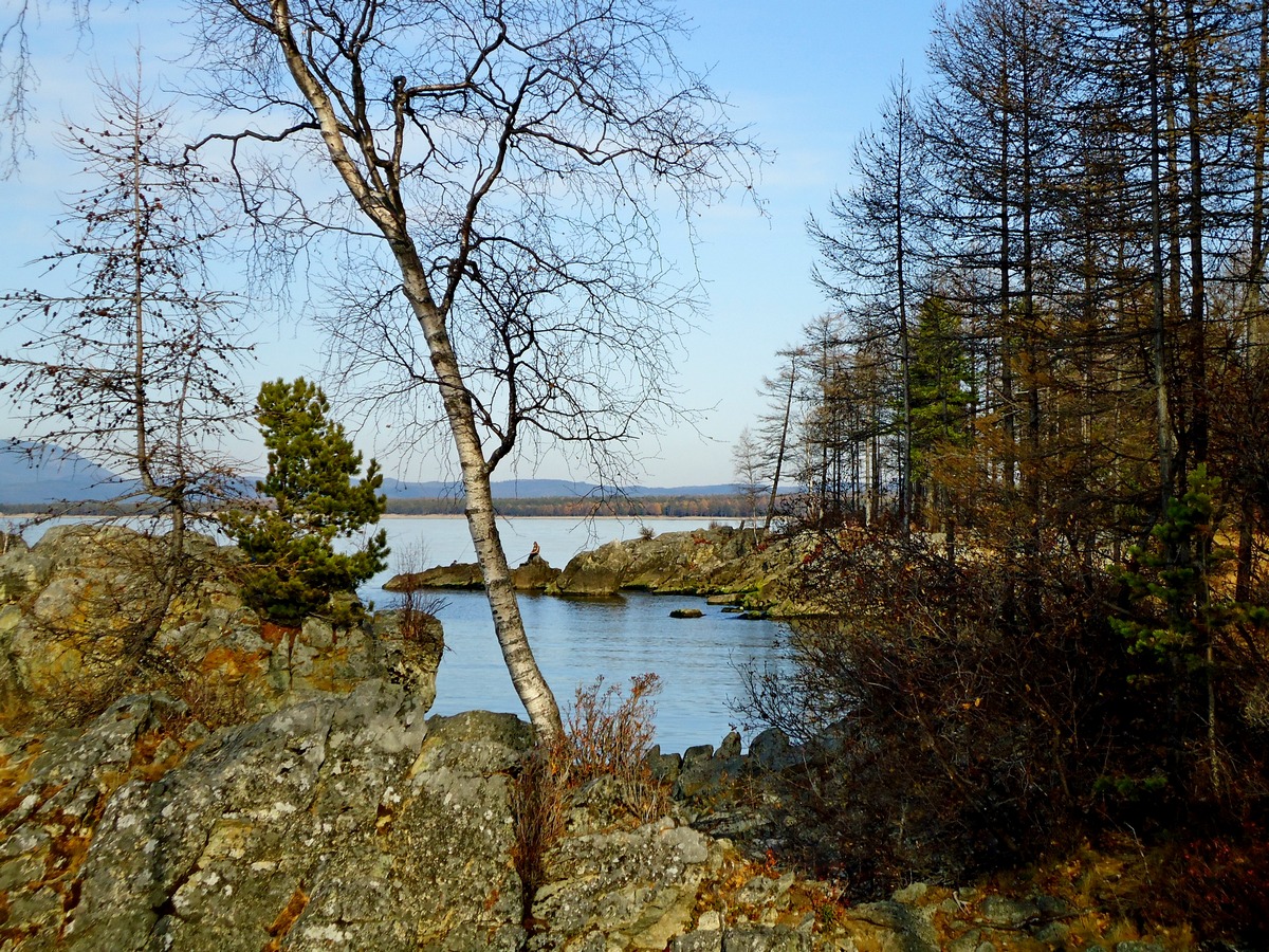 ����� ������ ����