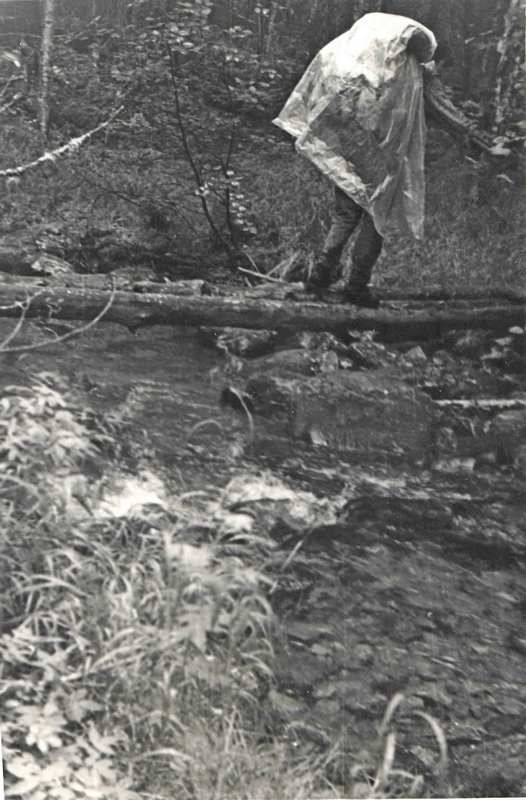 ���� �� ��������