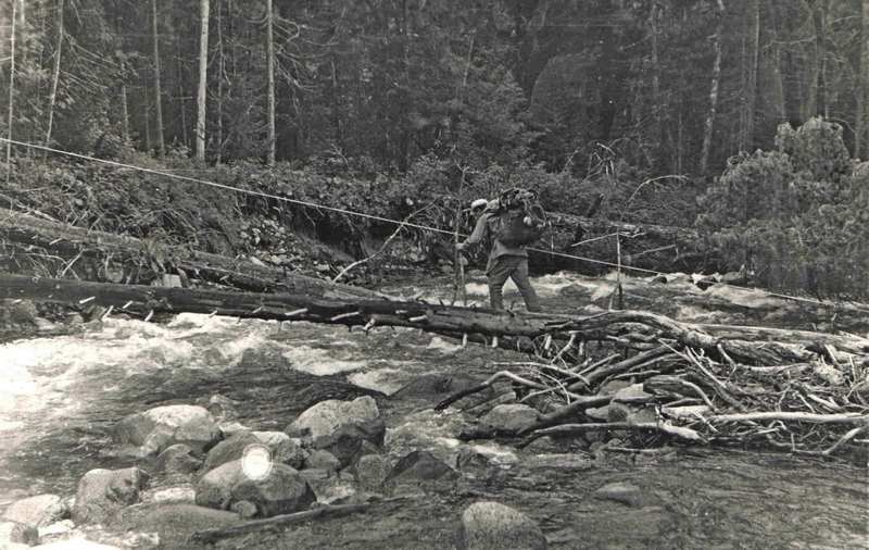 � ��������