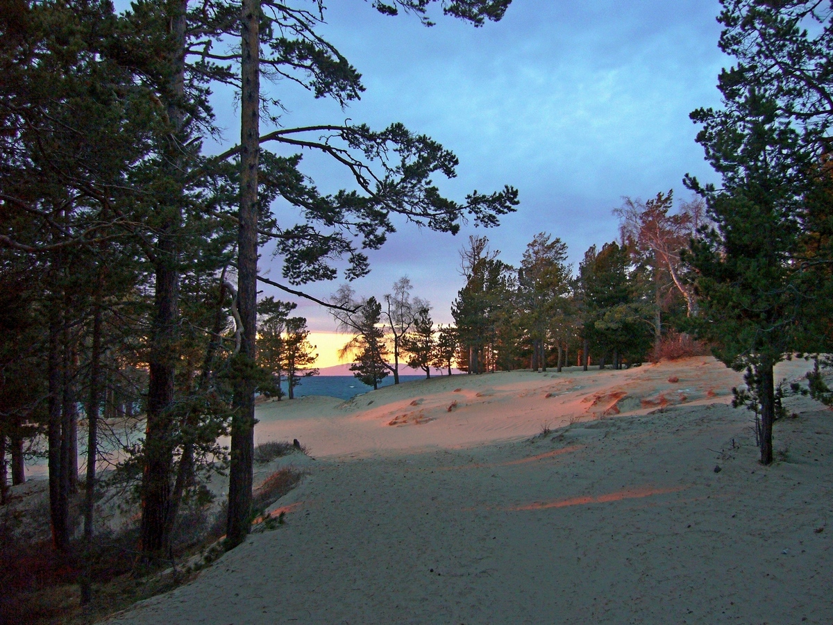 �� ����������� �����