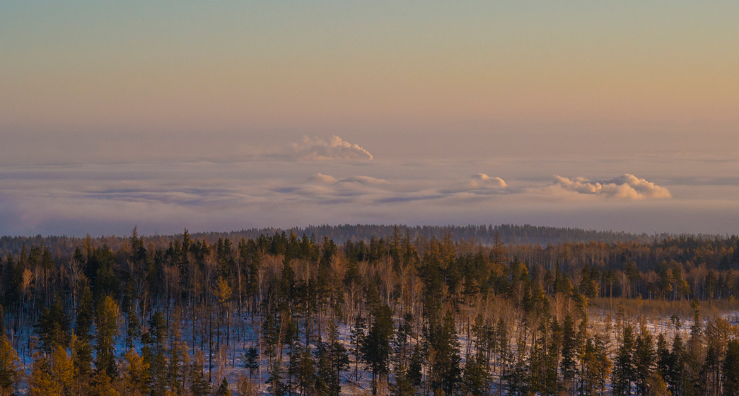 �������� ���� ��� ��������� � ���������