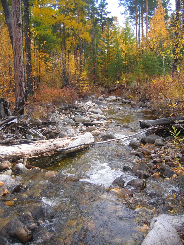 ���� ����