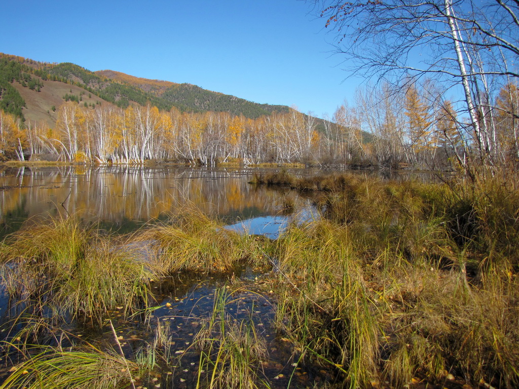 ����� ���