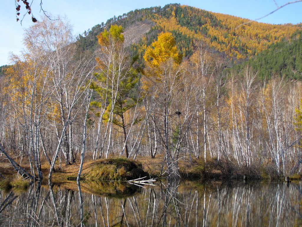 ����� ���