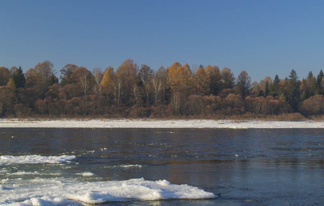 ������ ������ 2016