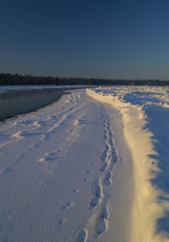 ����� ����� ����