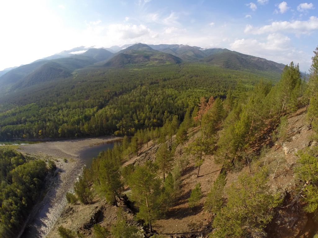 ������������ ������ � ������ ������� �����