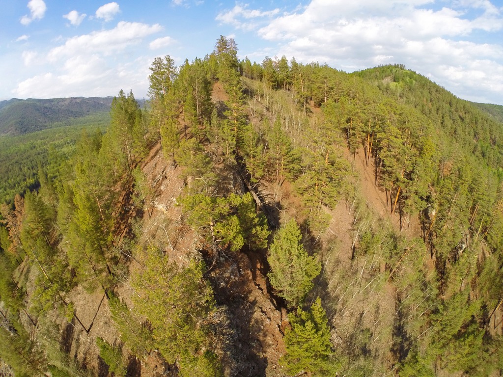 � �� ������ ������ �������