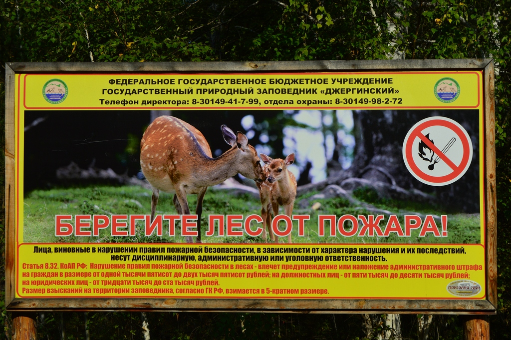 ������ � ����������� �����������