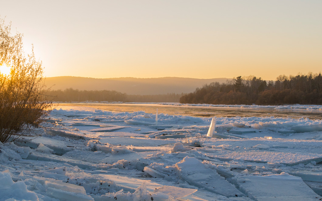 ������������� ����� ��������� �������