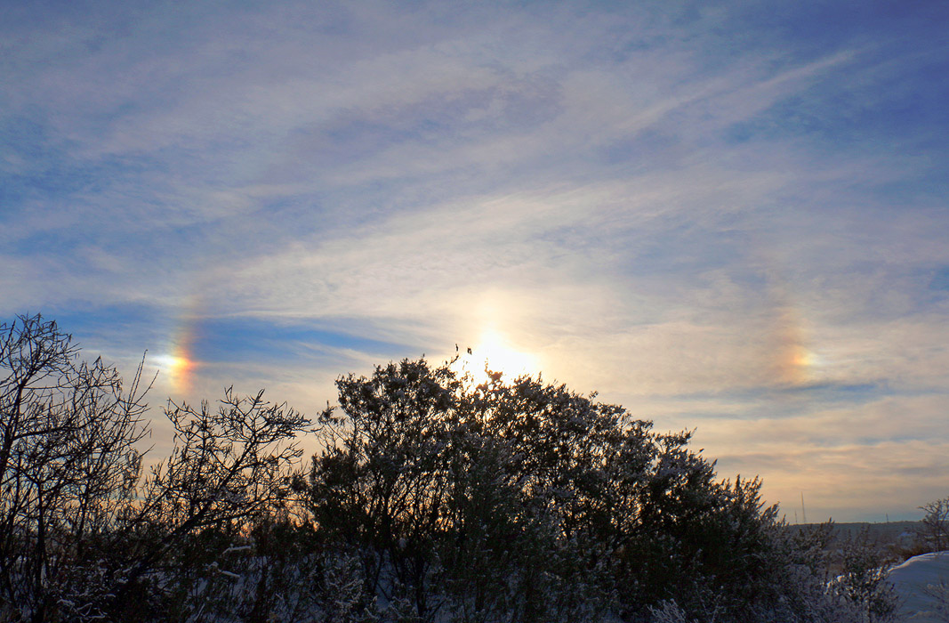 ���������� ����