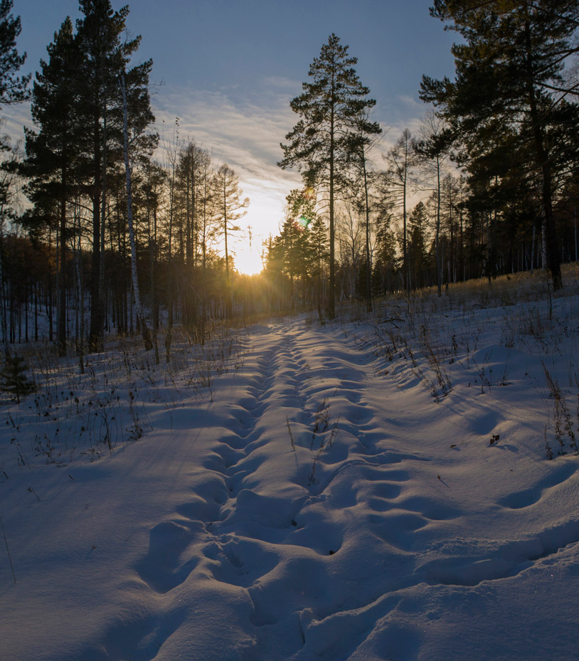 ����� � ����� ������