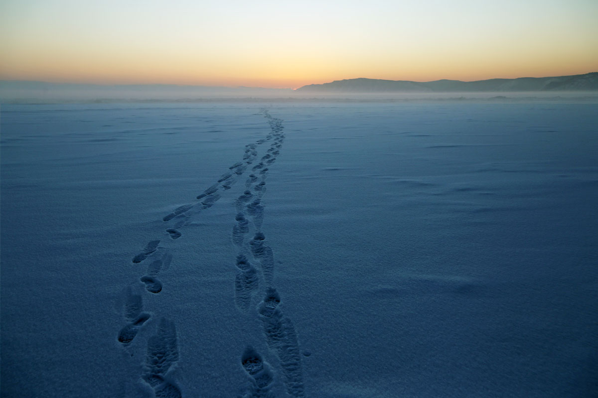 ���� � �������