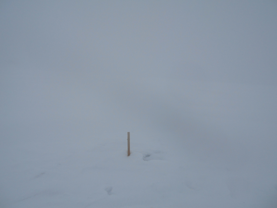 �������: ����� ��������)))