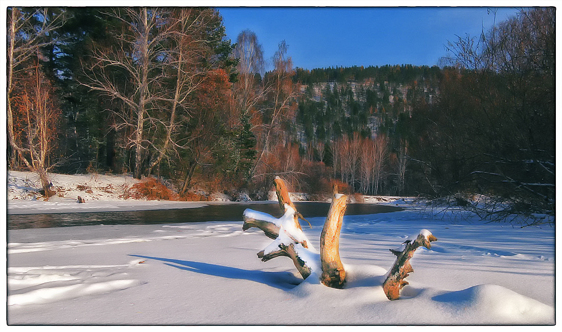 ���� �����