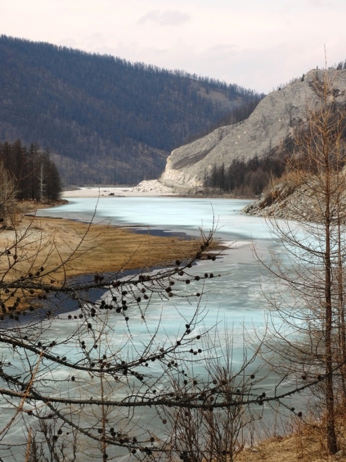 ���� ���. ����� ������