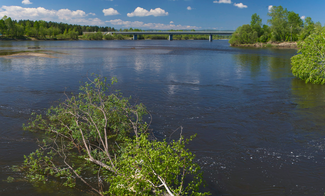 � ��������� �����