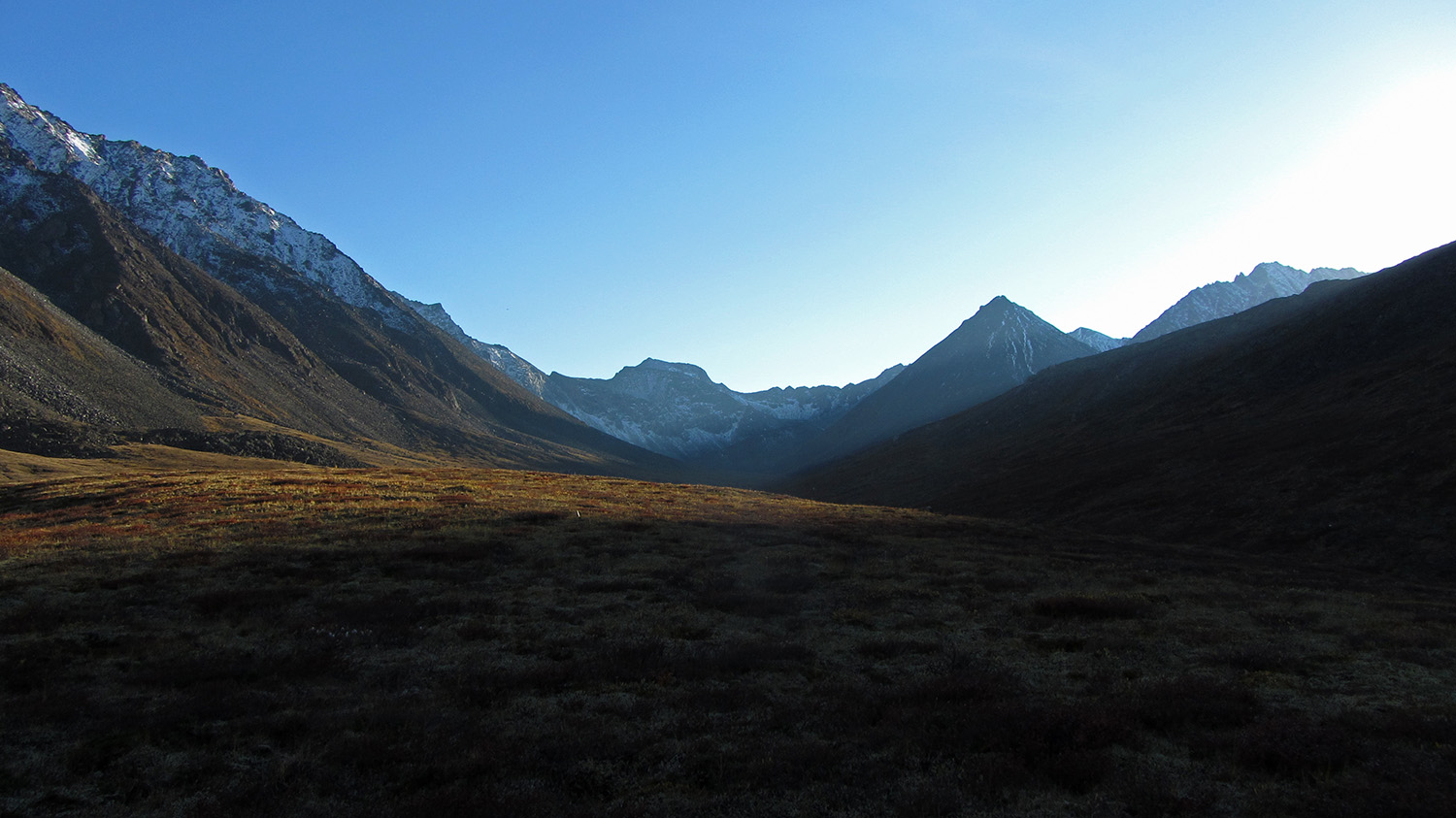 �������� ���-���� �� ������