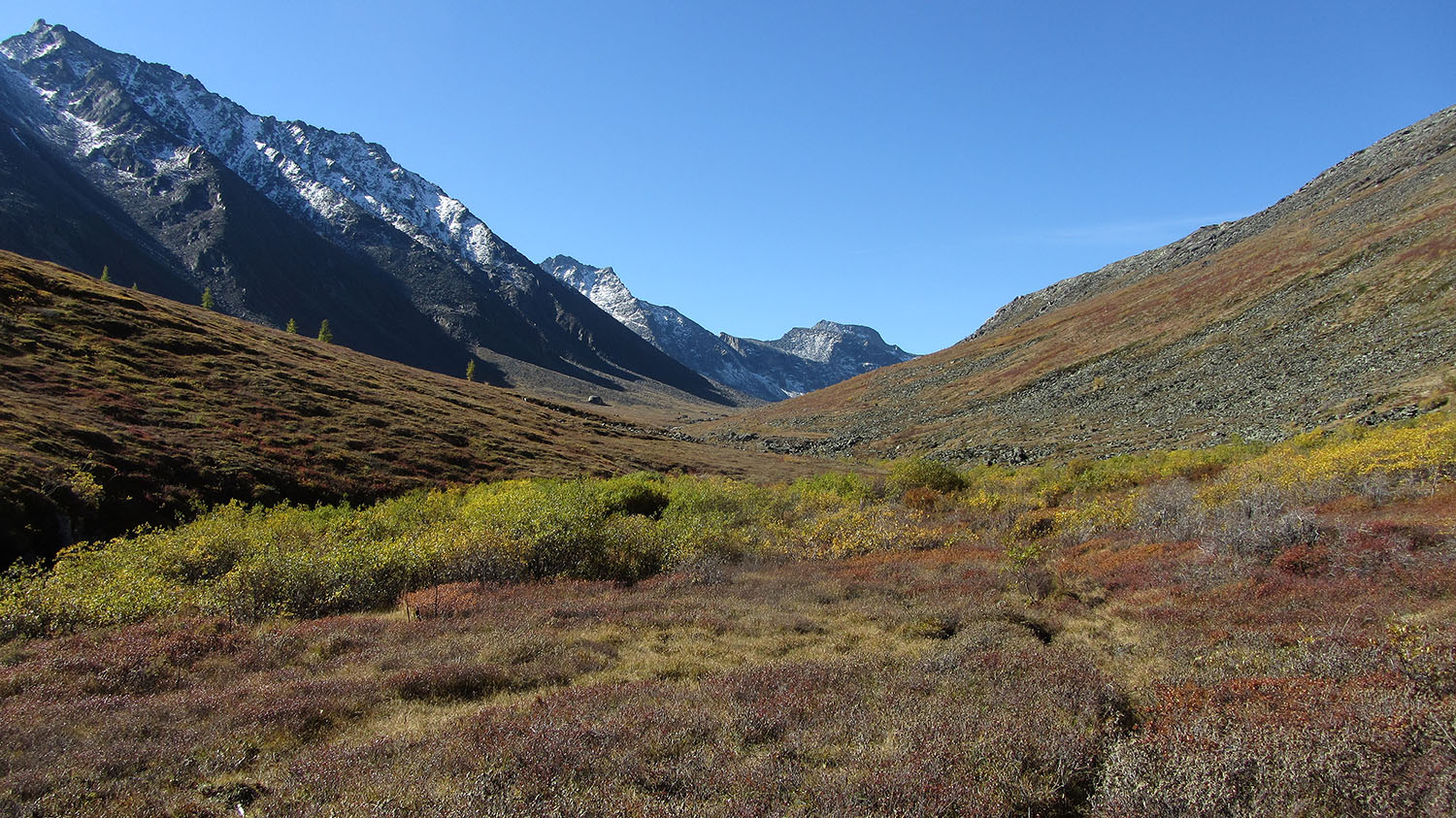 �������� ���-����