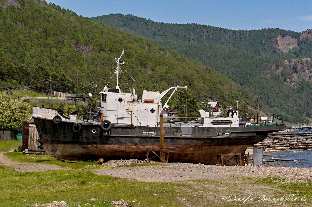 � "����� ����"