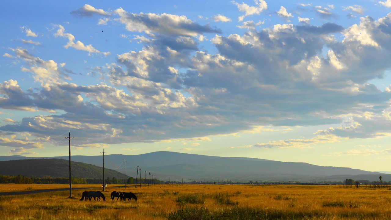 �� ������� ������ �