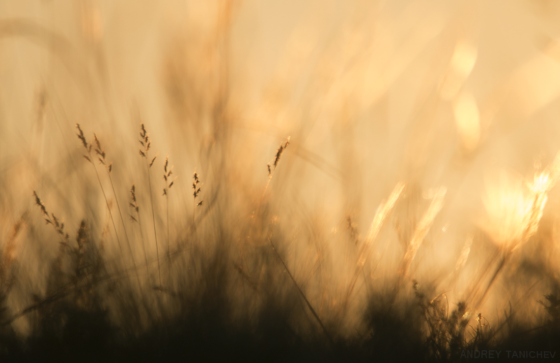 ����������� �������(2)