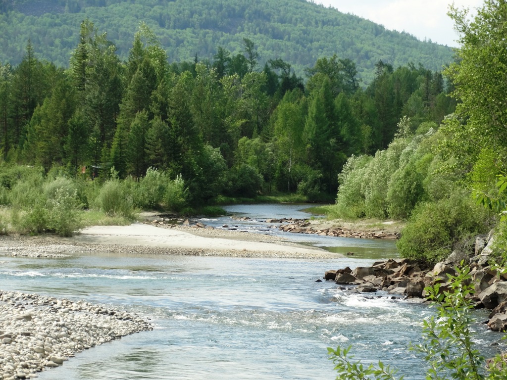 ����� ��������