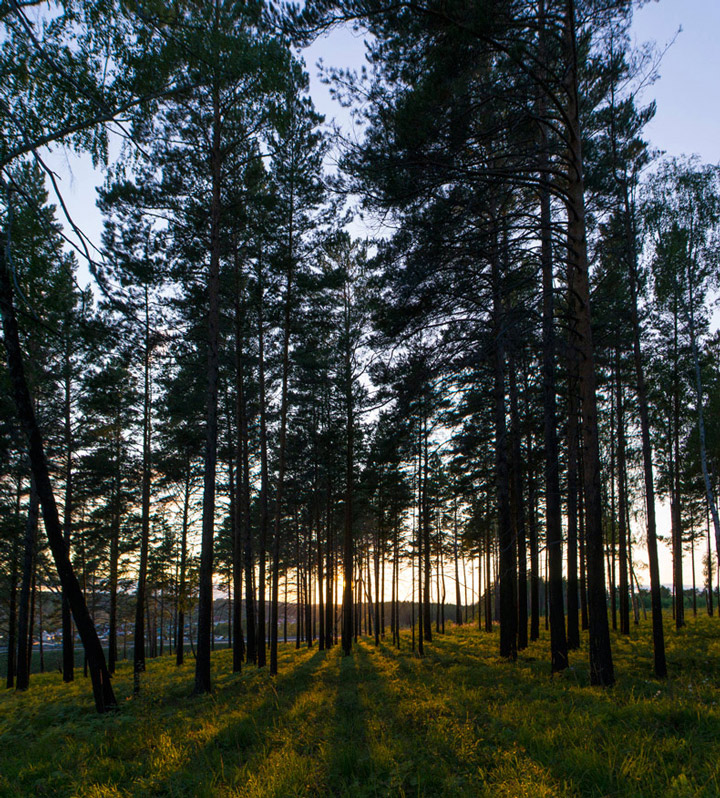 ����� � �������� ����