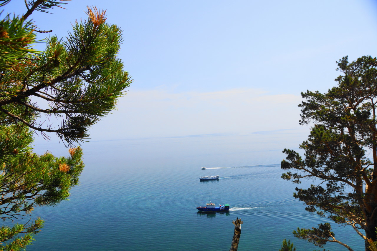 ������� ����������� ������. �����