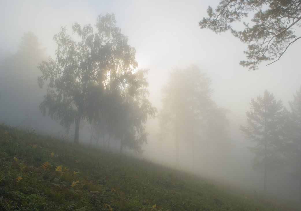 ����� � �������� ���� 02