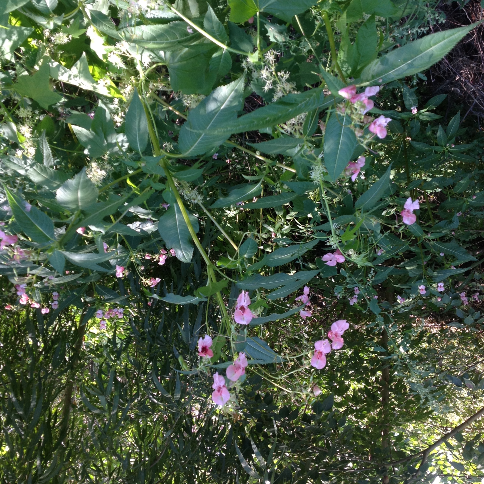 ���������?