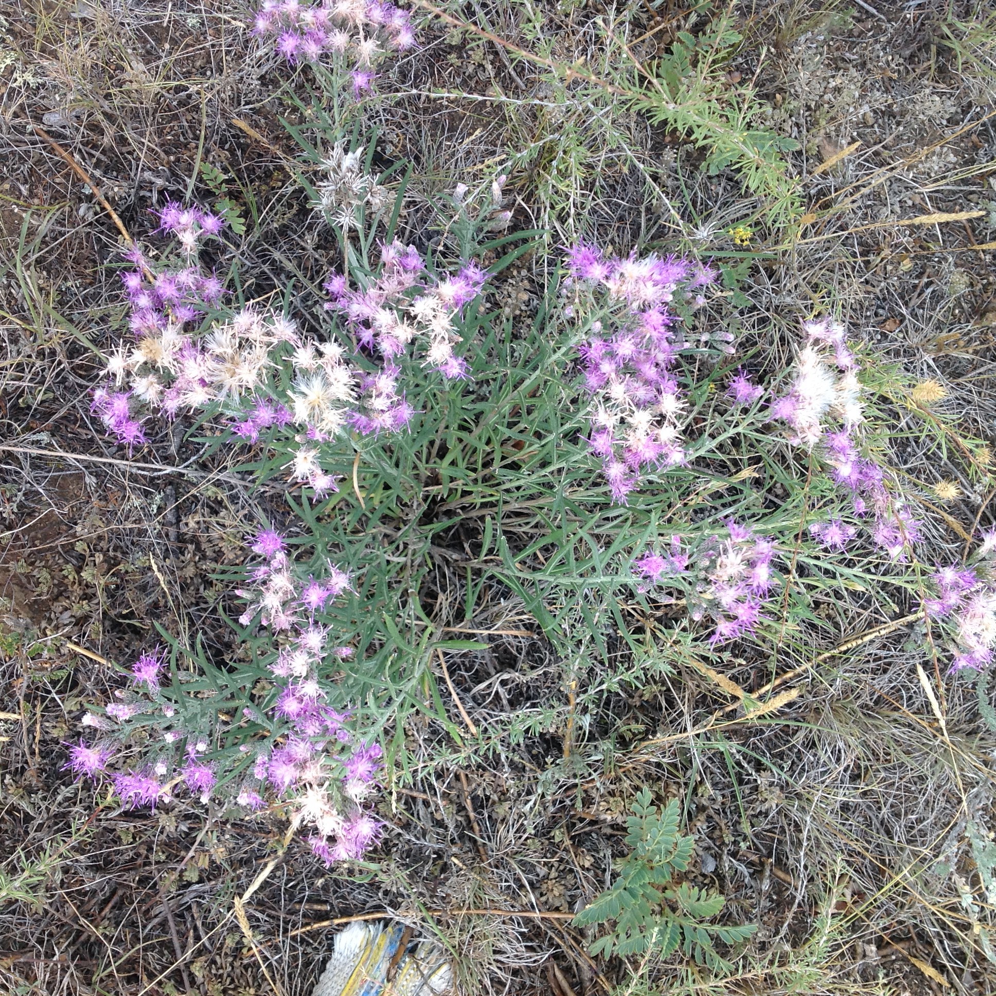 �������