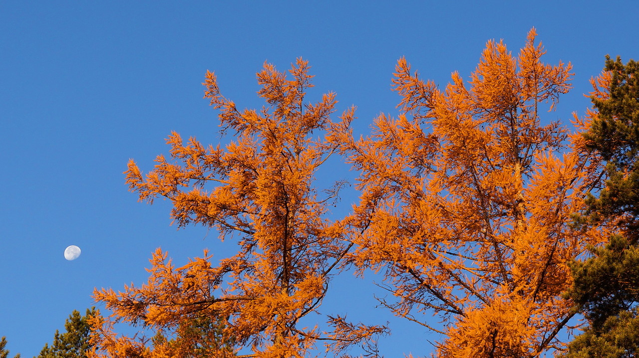 � ������� ����� �