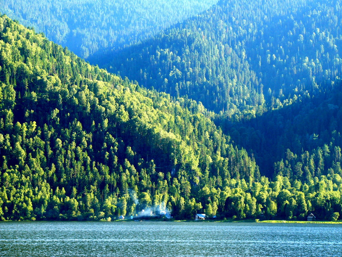 � ������ ������� �