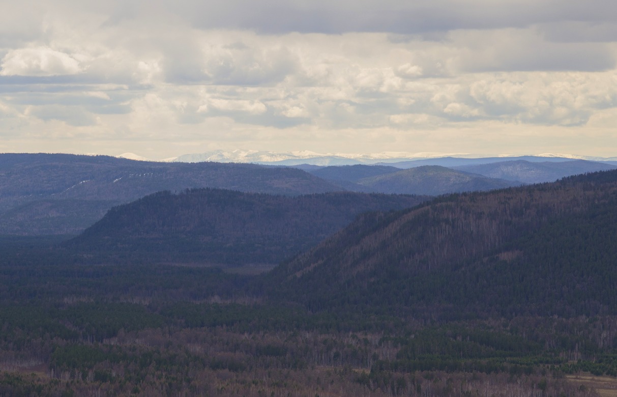 ��� � ������ �� ��������� ��� � ������� ��������� �����-������