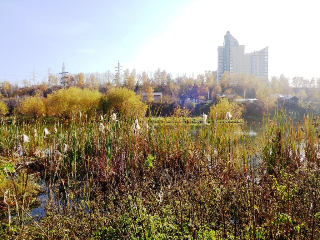 ����� �����, ������ ����