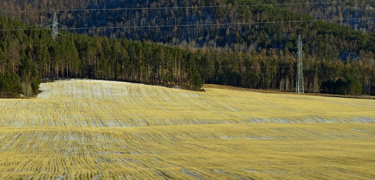 �� �������