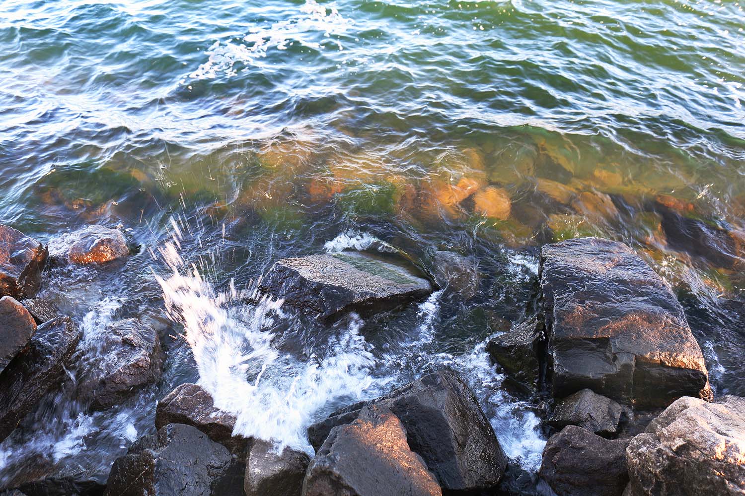 �������� ���