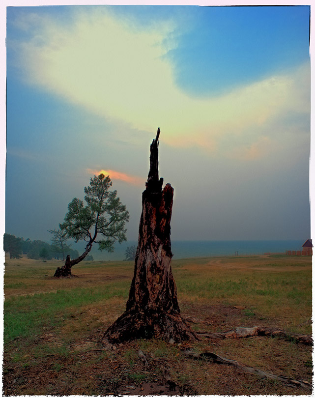 ����� ���������