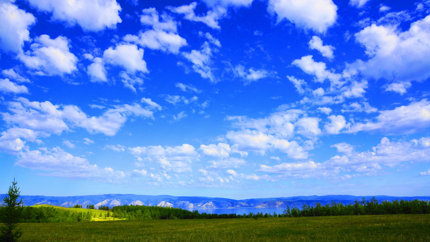 � ���� �� ����� ������ �