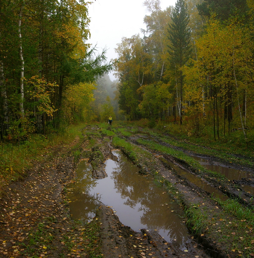 ��������. ��������