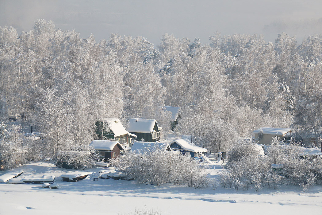 ������ ����