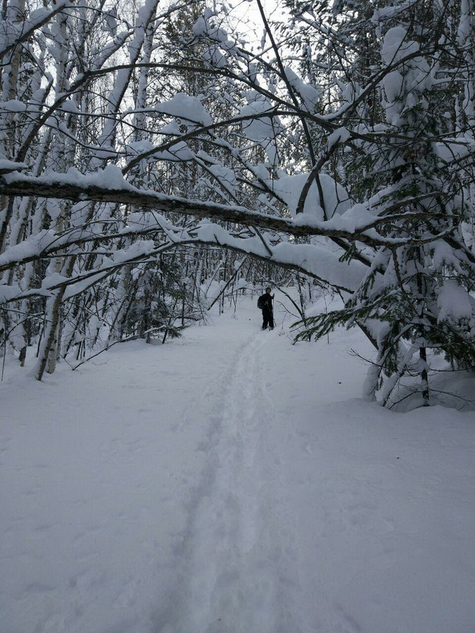 ����� ������������...