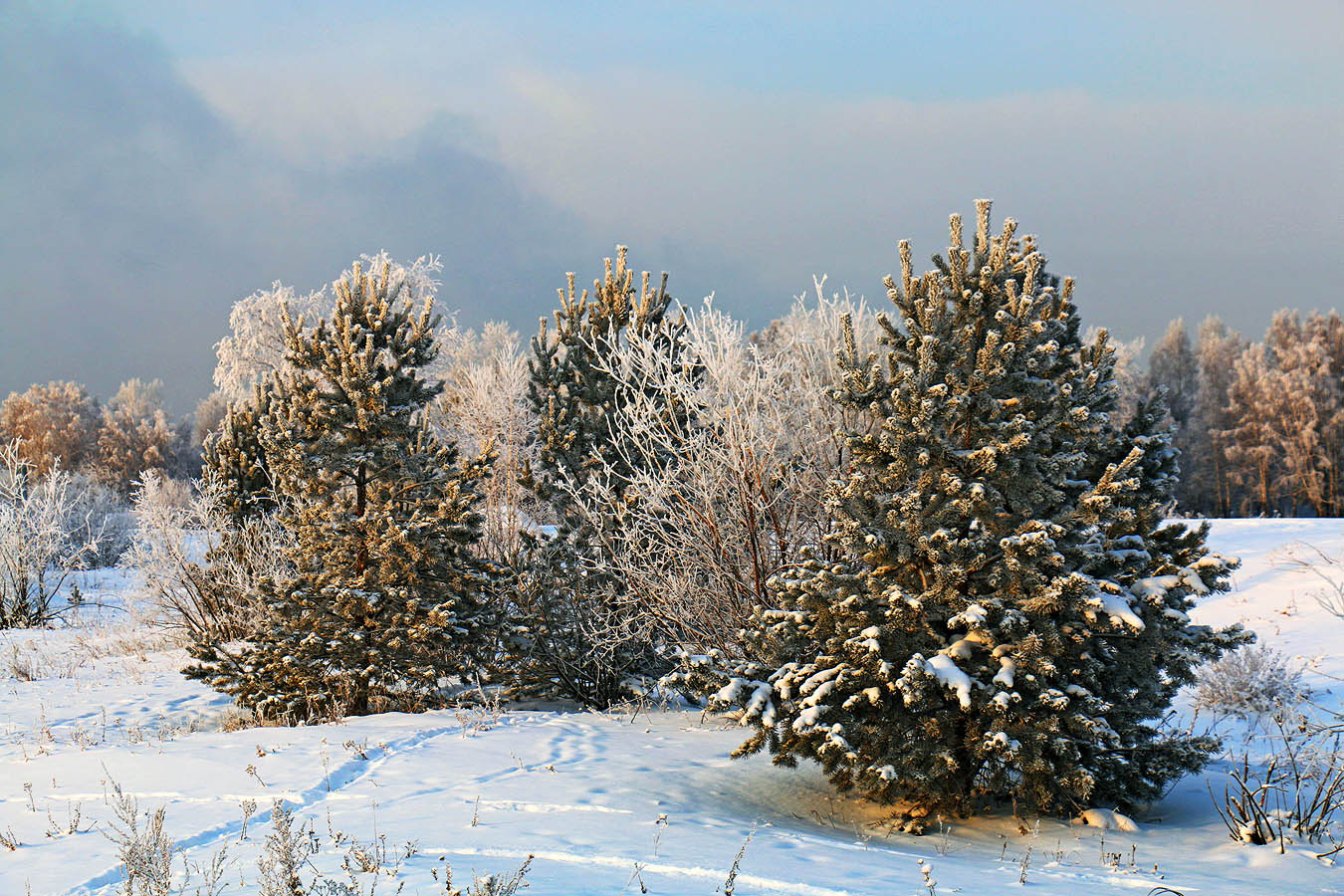 �������� � ��������