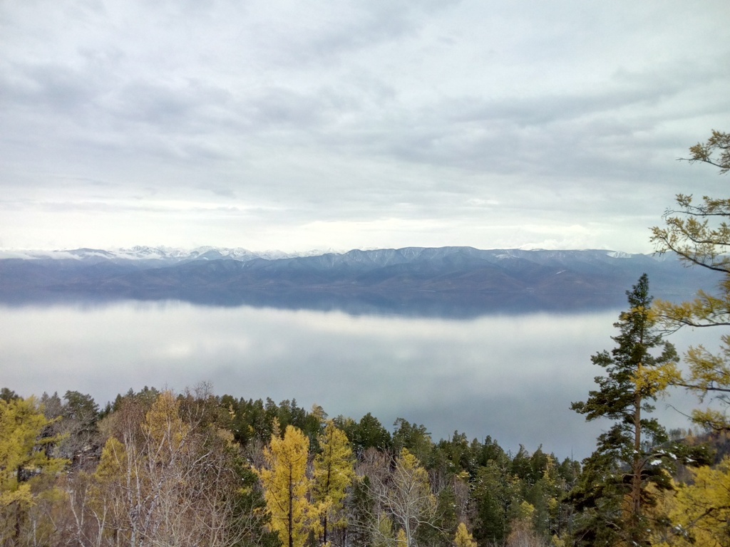 ��� � ������� 971,1