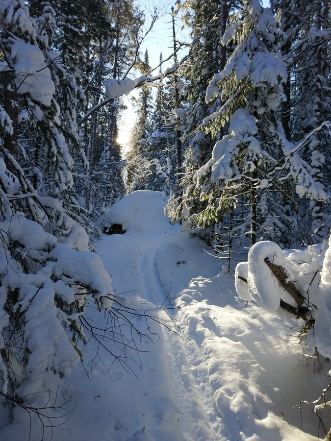 �������������� � ����